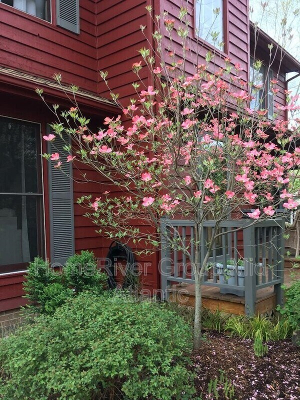 11809 Gordon Rd 11809 Gordon Rd Fredericksburg VA 22407 Apartment