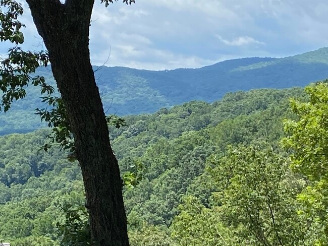 Building Photo - 1671 Hogback Mountain Rd