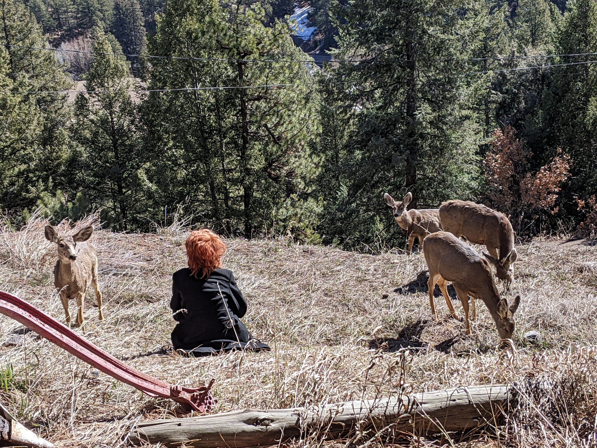 Building Photo - 22517 Shawnee Rd