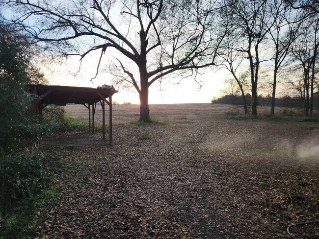 Building Photo - 3 bedroom 2 bath with plenty of space inside and out and gorgeous views!