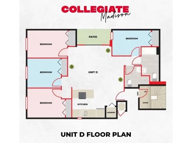 4BR/2BA Floor Plan - Collegiate Campus Apartments