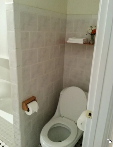 Building Photo - 62 Egmont St