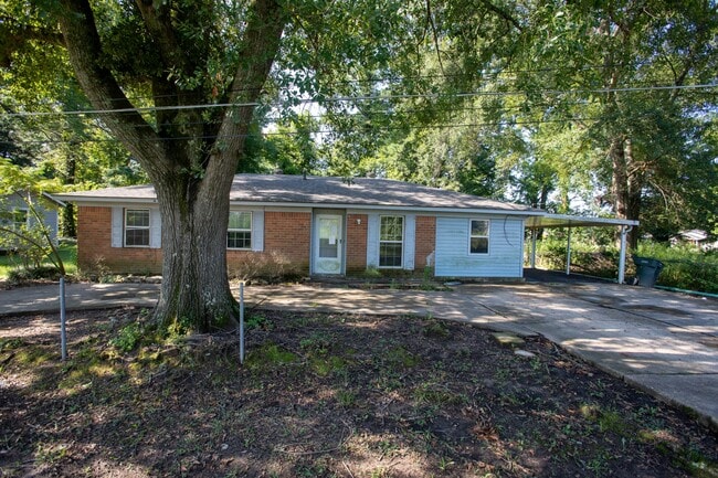 Primary Photo - 2904 McLeod St
