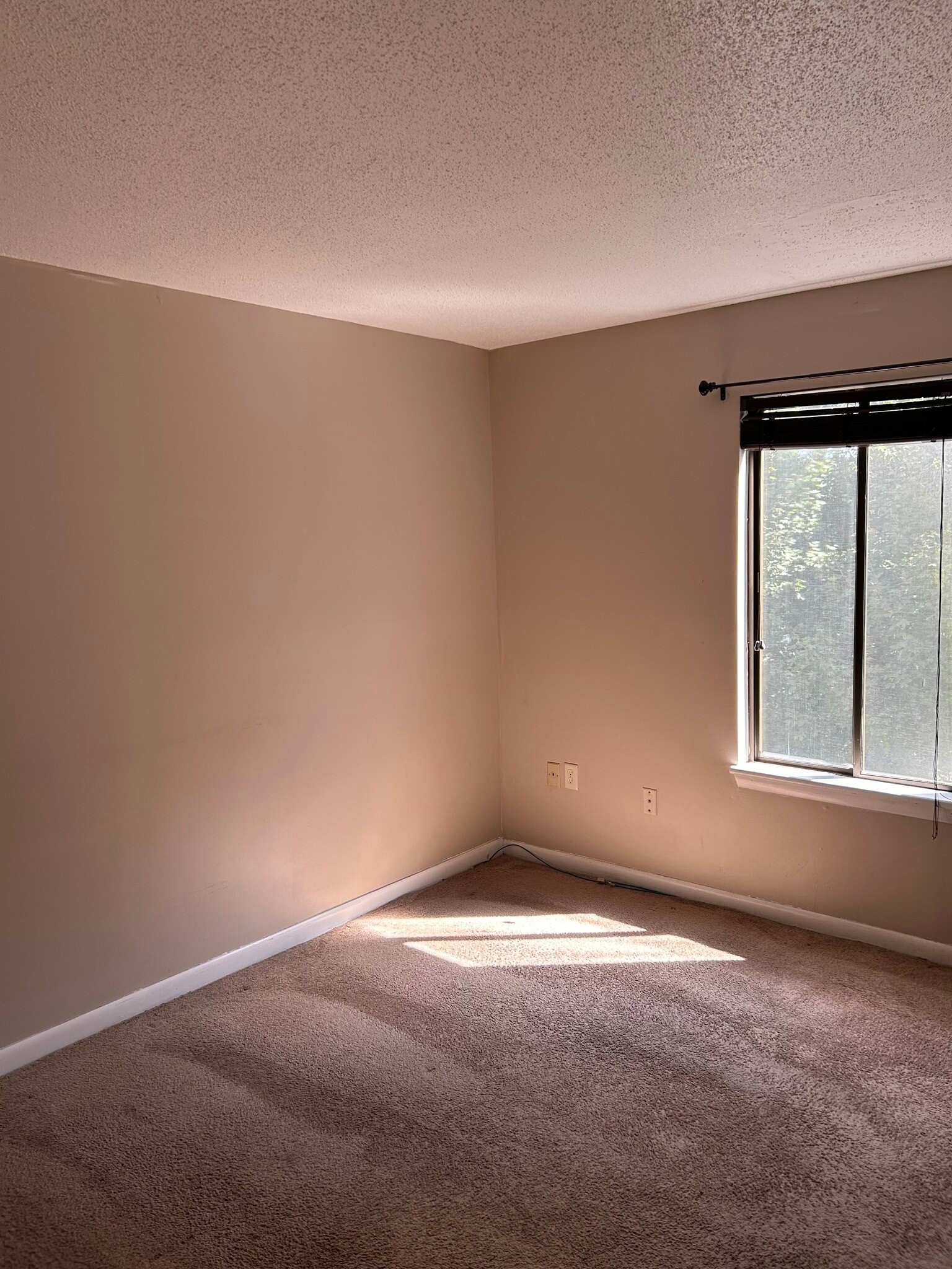 Building Photo - 175 Mill Pond Rd