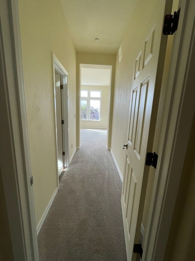 Building Photo - Where Luxury Meets the Skyline – Now Available