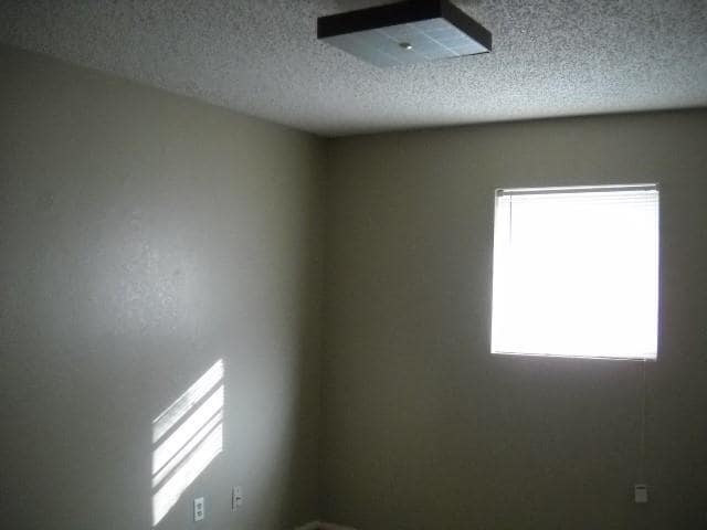 Building Photo - 925 Minter Ln