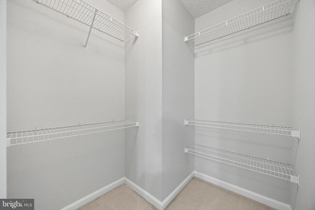 Building Photo - 2716 Mapleview Ct