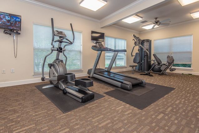 Building Photo - 1241 Strassner Dr