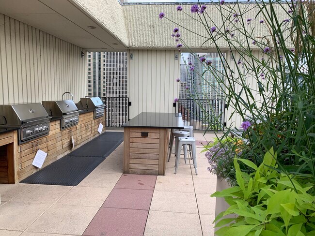 Grills on sundeck - 100 E Bellevue Plz