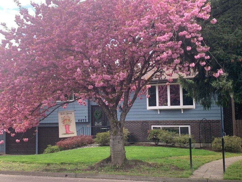 Building Photo - 6675 Canterbury Dr