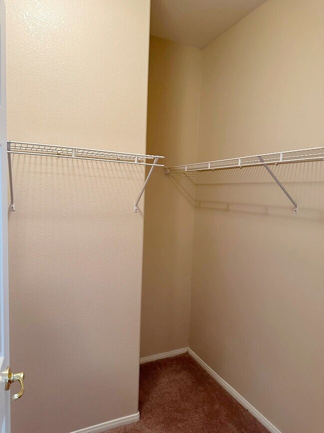 Building Photo - 204 Crooked Tree Dr