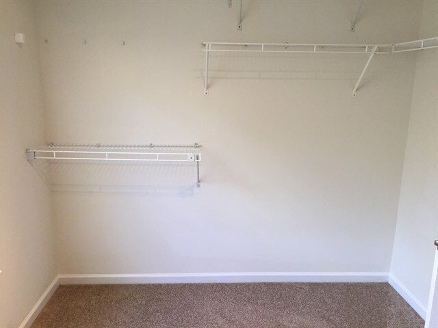 Building Photo - 9117 Hollow Ridge Ln
