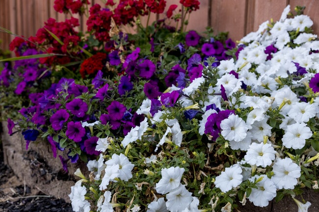 Building Photo - 617 Copper Ridge Way