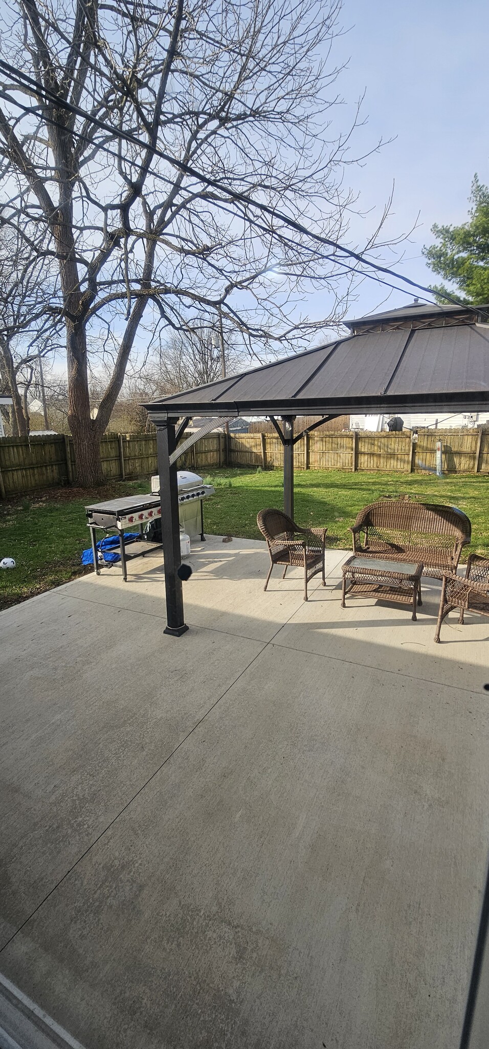 Outdoor (Backyard) almost 1/2 acre - 6083 Bolamo Ct