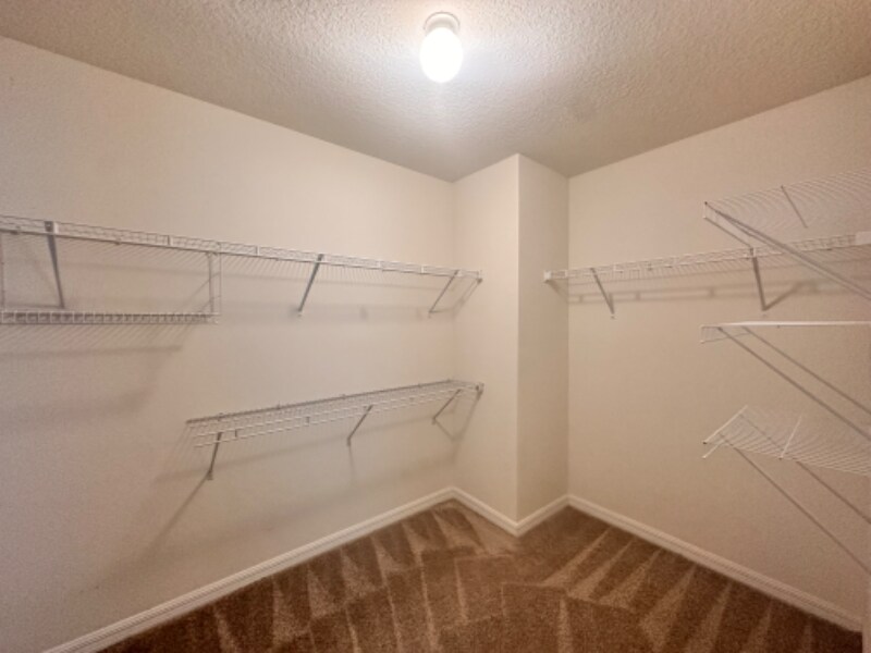 Building Photo - 4441 Lindever Ln