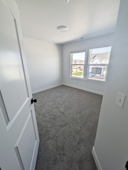 Building Photo - 3797 Big Horn Dr