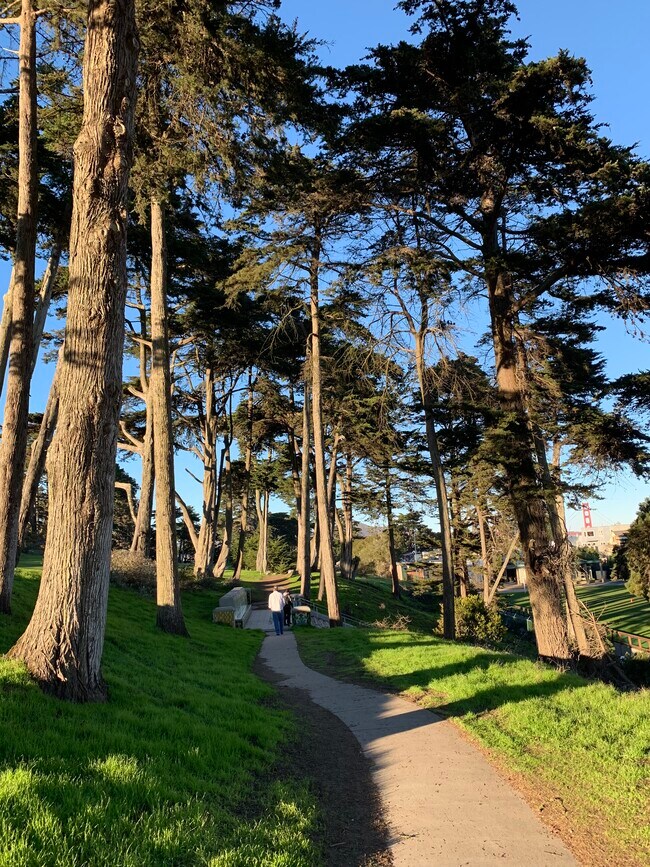 Lands End hiking trail 2 blocks away - 302 31st Ave