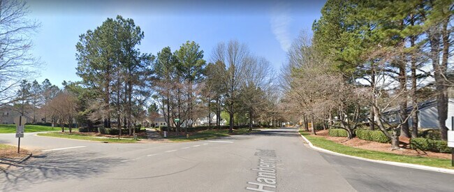 Peacefully Beautiful Lined Trees - 9906 Birch Knoll Ct