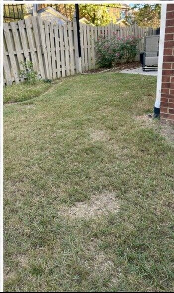 Fenced backyard - 3141 Mallard Point Dr SE