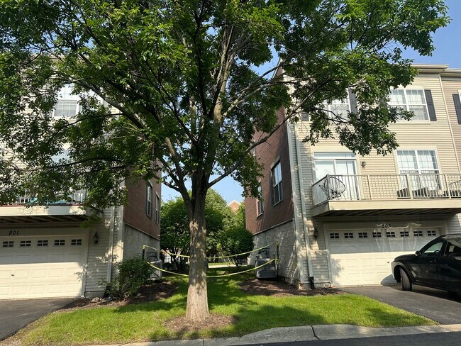 Building Photo - 803 Station Blvd