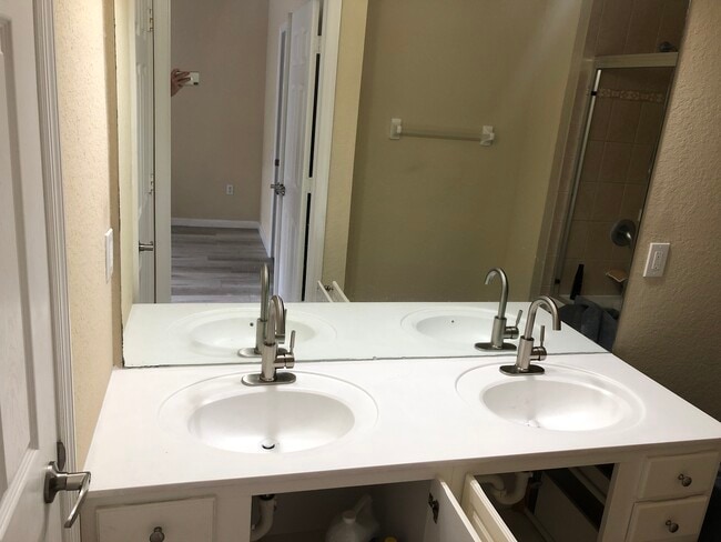 Master Bathroom Sinks - 3602 Shallot Dr