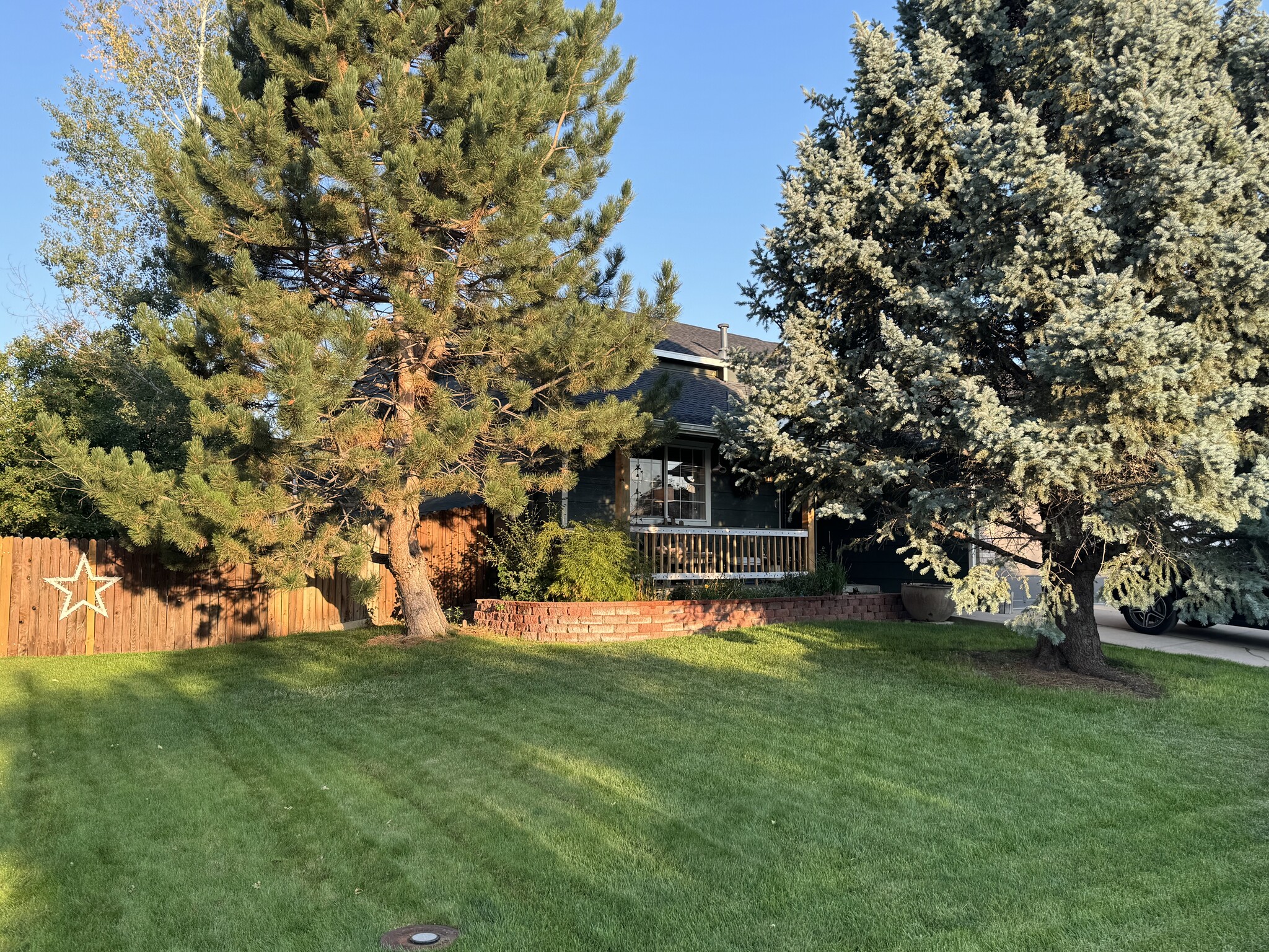 Mature Landscaping - 1311 Walden Ct