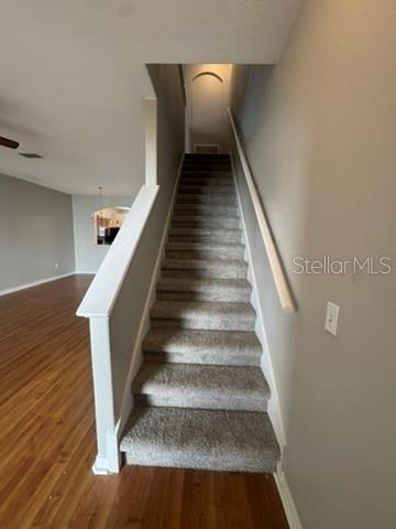 Building Photo - 3404 High Hampton Cir