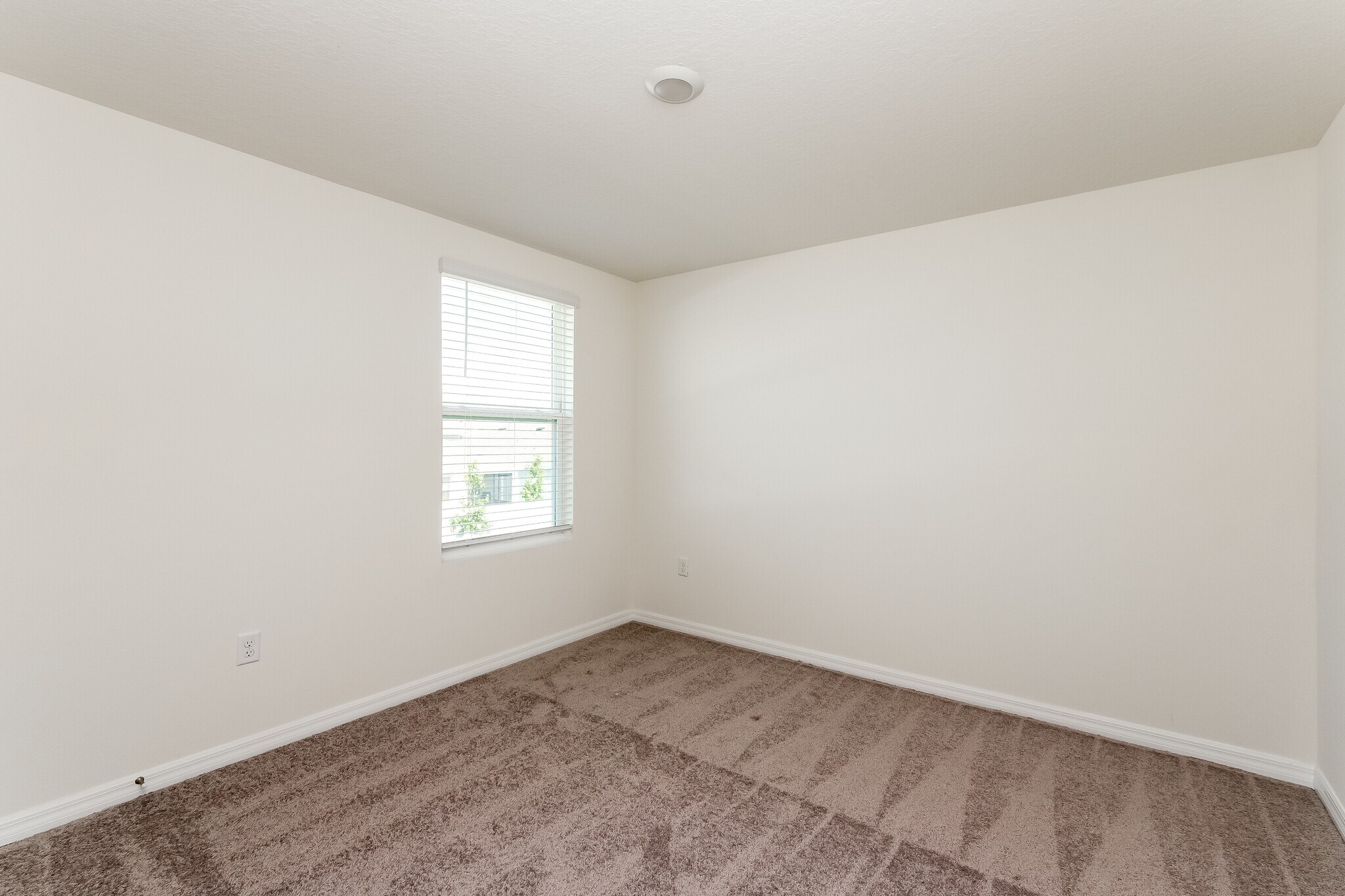 Building Photo - 486 Sunlit Coral St