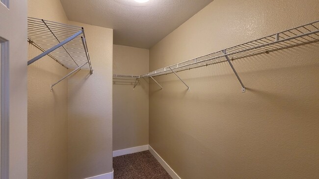 Building Photo - 11005 Calamint Hills Ct