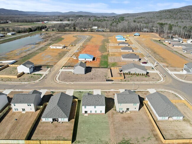 Building Photo - Beautiful New Home for Rent in Owens Cross Roads