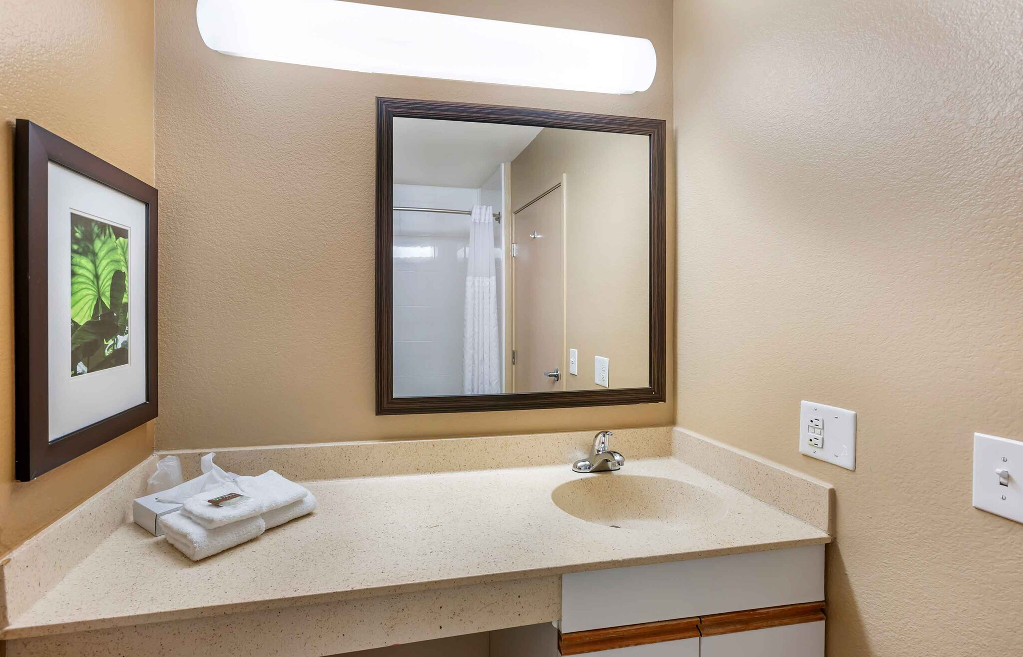 Building Photo - Furnished Studio-Phoenix - Mesa - West