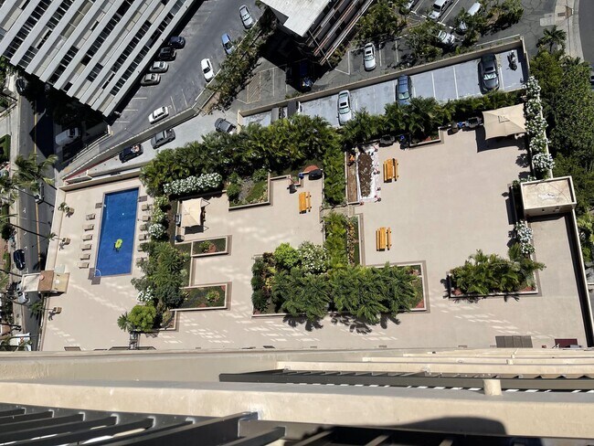 Building Photo - Waikiki, Pet Friendly. Central AC