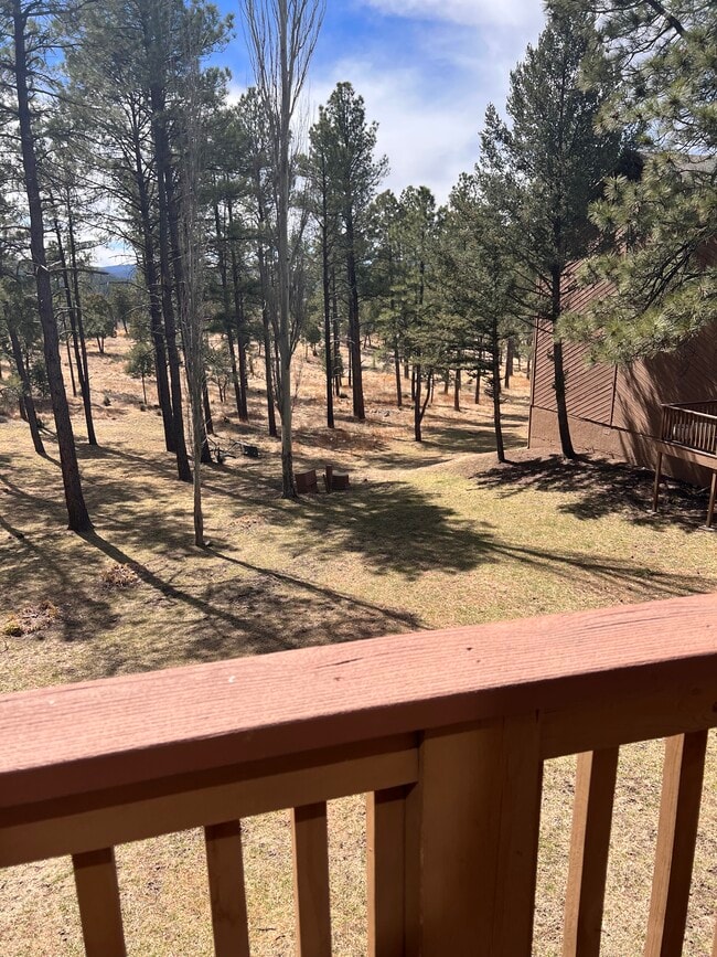 Building Photo - 205 Racquet Dr