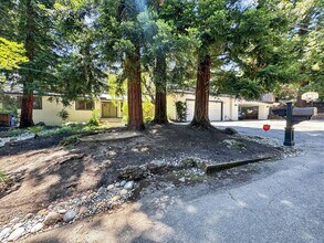 Building Photo - Gorgeous Single Level Home with Pool in Alamo Available Now!