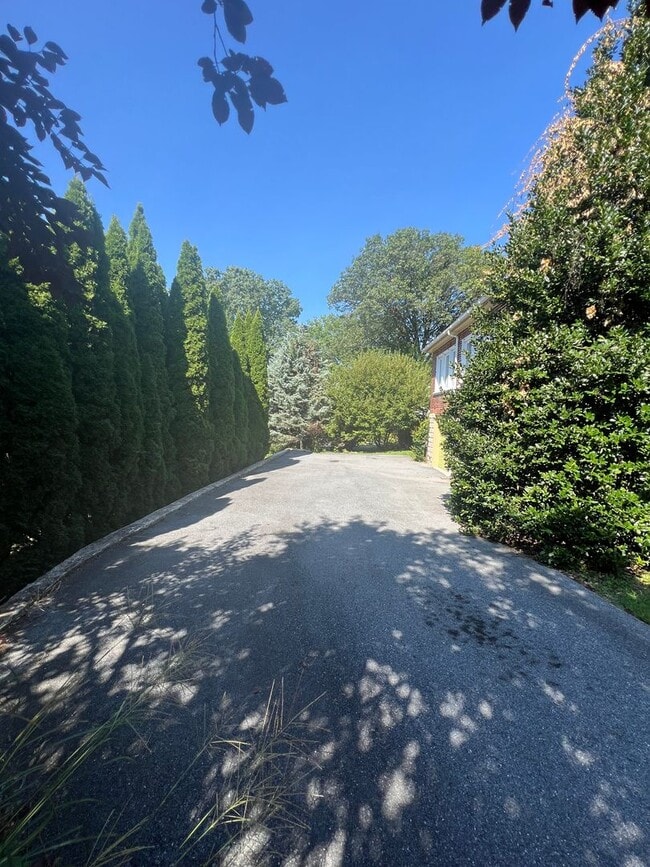 Building Photo - Beautiful 4 BR Brick Cape Cod in Lancaster!