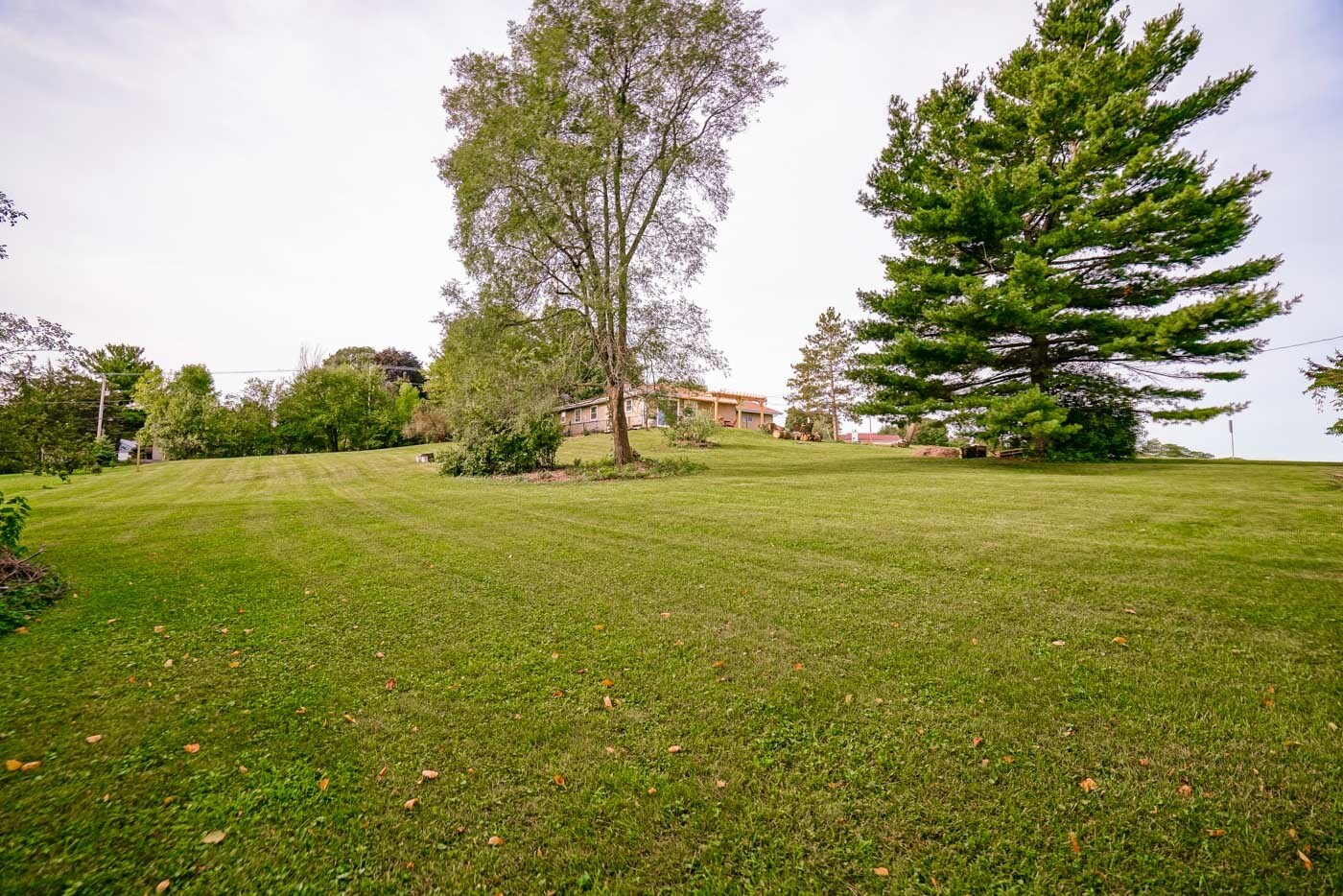 Over 1 acre private yard to enjoy! - 4688 Capitol View Rd