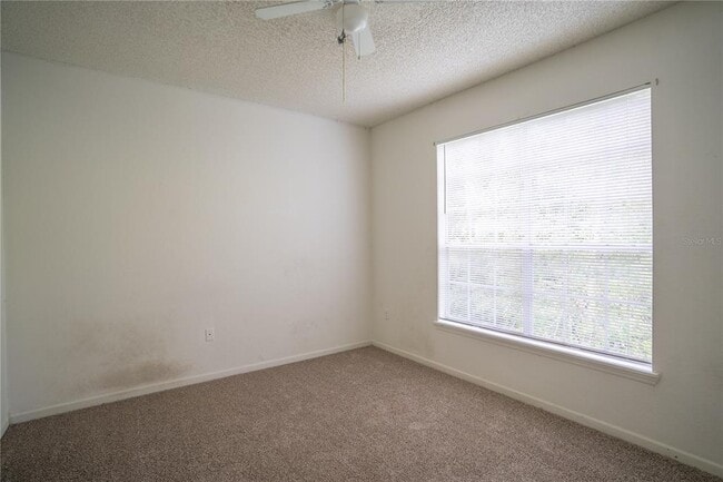 Building Photo - 13037 Mulberry Park Dr