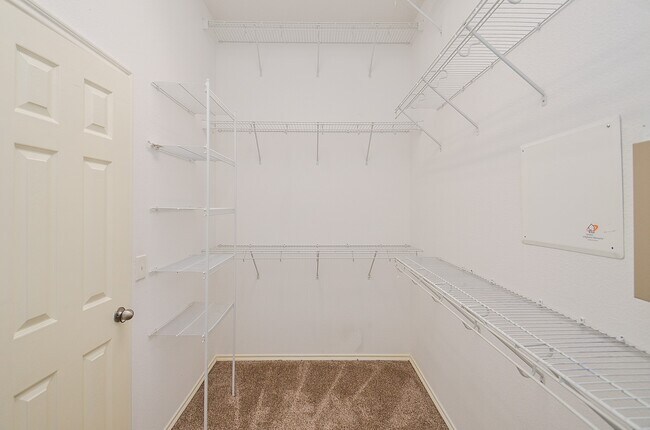 Building Photo - 3010 Rosebud Dale Ct