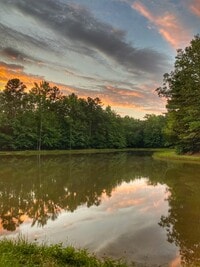 Building Photo - Vibrant Way # 3