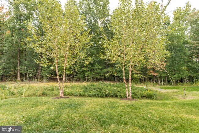 Building Photo - 311 Kahler Way