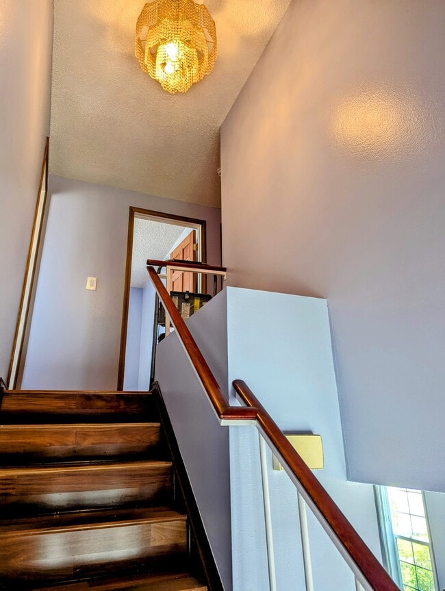 Building Photo - 4019 Bryant Ct