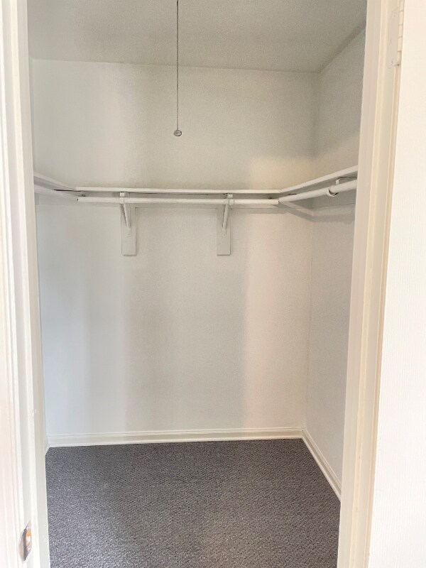 Building Photo - 4229 Morgate Ln