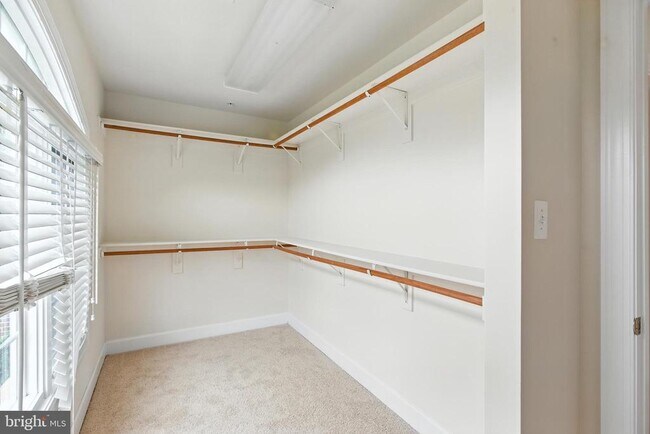 Building Photo - 13309 Big Cedar Ln