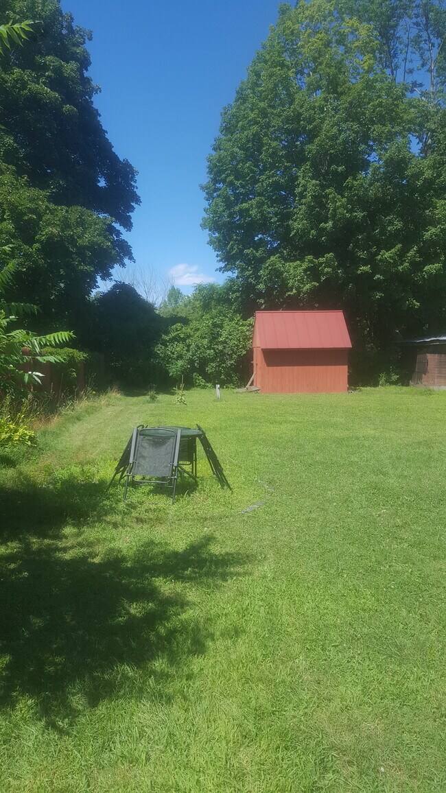Bakyard with Shed - 53 River St