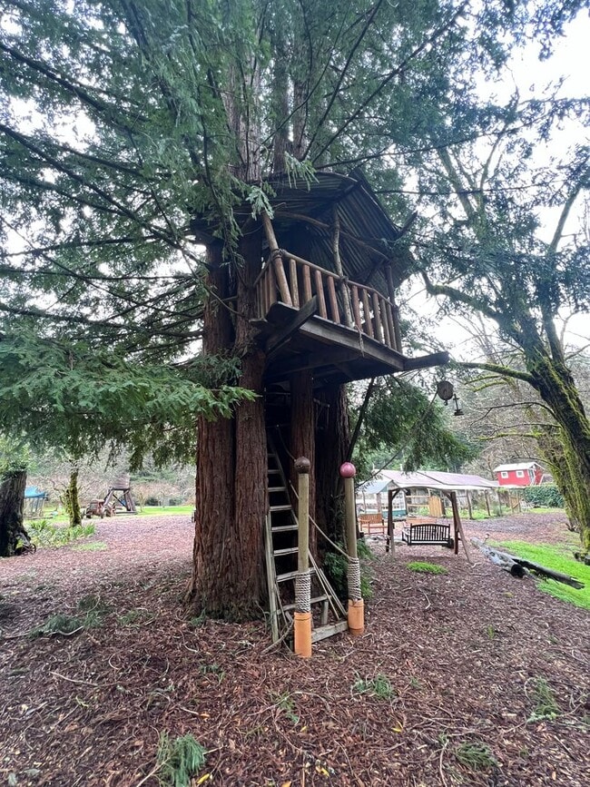 Building Photo - 1,100 square foot cottage on private 80 ac...