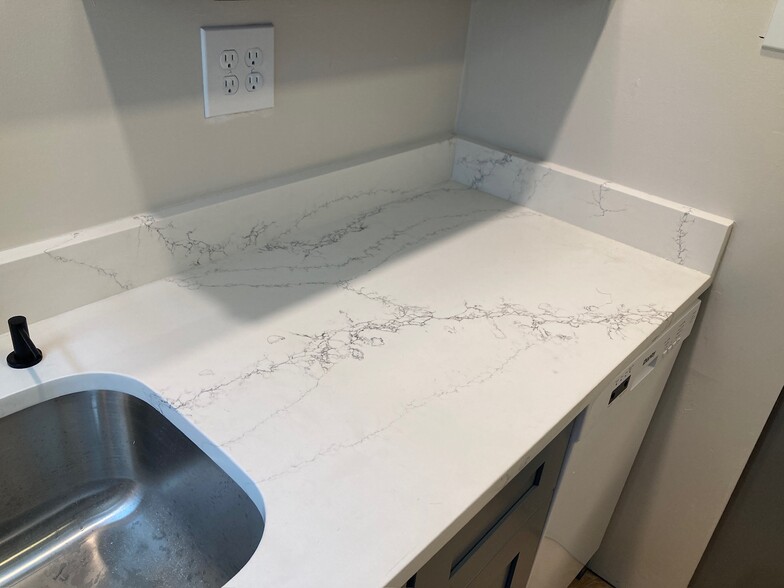Gorgeous quartz counters - 227 E Hector St