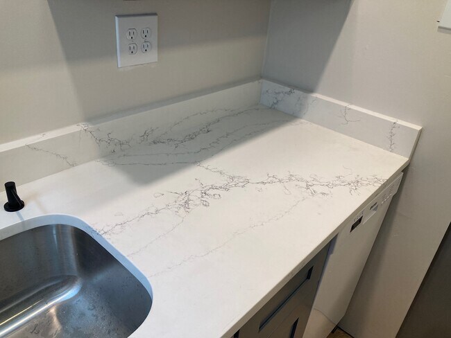 Gorgeous quartz counters - 227 E Hector St