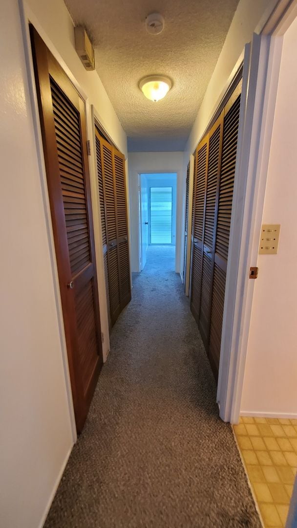 Building Photo - Crown Terrace single story with attached s...