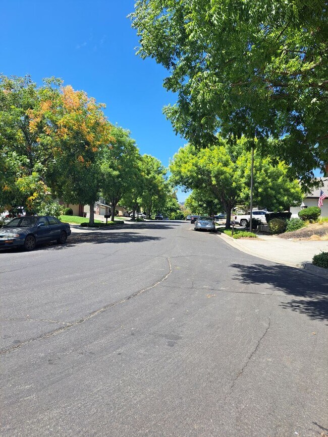 Building Photo - Expansive Oasis with a Guest House, Pool, ...