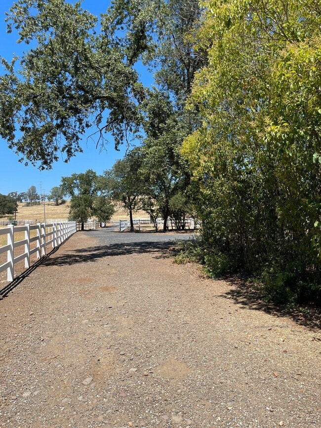 Building Photo - Cozy and convenient, private location, Cot...